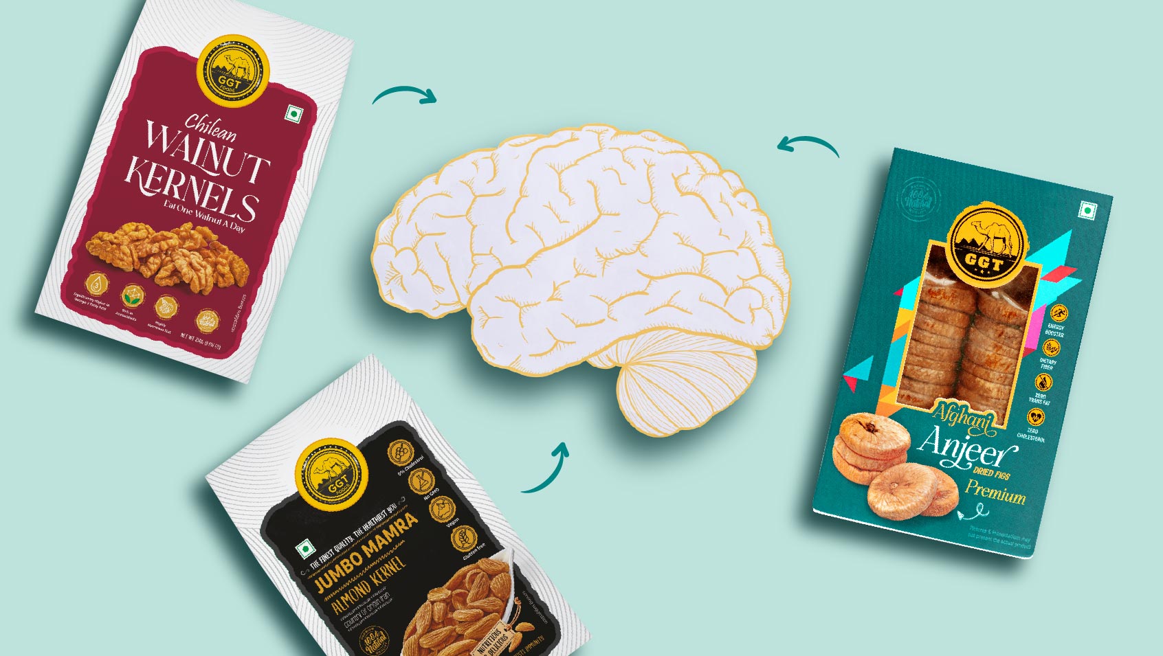5 Best Dry Fruits for Brain Health and Memory Boost