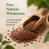 Quality of Flax Seeds 